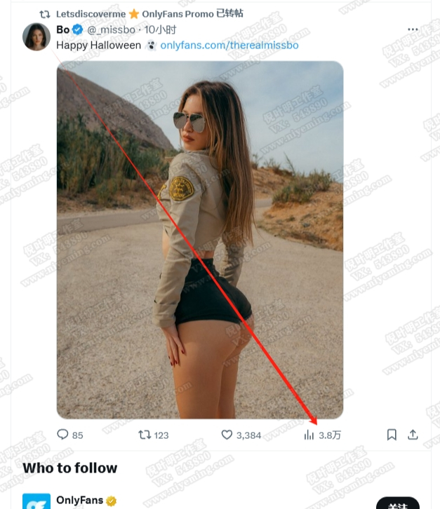 海外网赚项目：X推广OnlyFans自动化赚美金-柚子网创