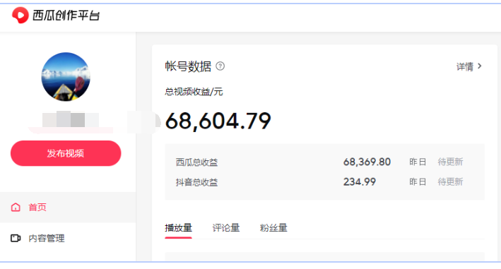 中视频项目搬砖玩法，一年变现50W