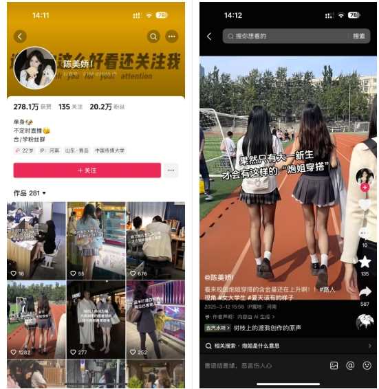 陈美娇美女号搬运项目