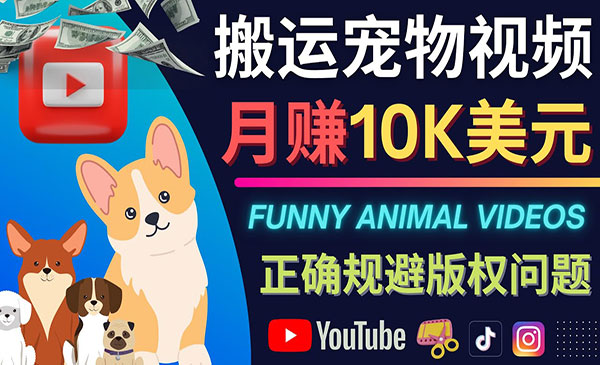 搬运宠物视频，月赚10K美元-柚子网创