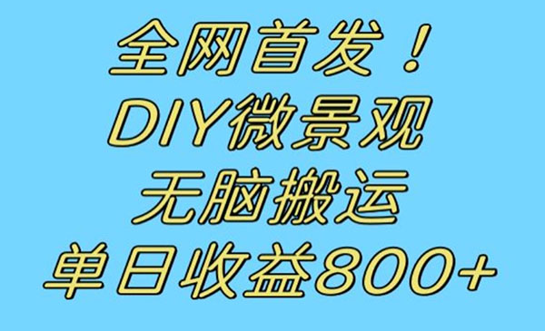 DIY微景观无脑搬运，日入800+-柚子网创