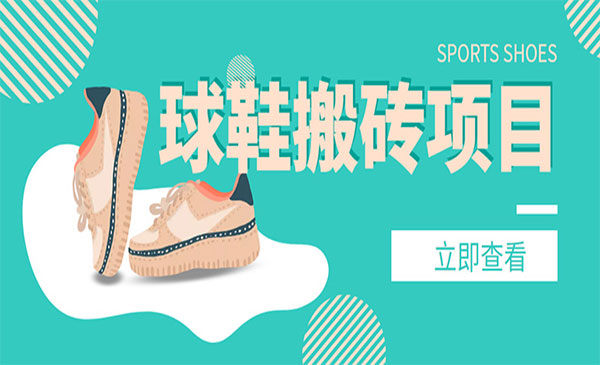 球鞋搬砖项目，外面收998-柚子网创