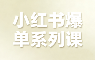 尼采老师·小红书爆单系列课-柚子网创