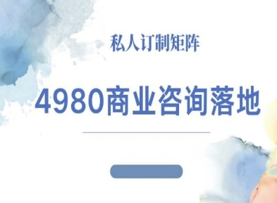 4980商业咨询师落地课程-ip运营高客单教程-柚子网创