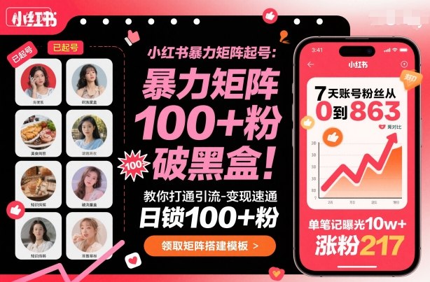 小红书暴力矩阵起号，教你打通引流-变现速通，日锁100+粉，破流量黑盒-柚子网创