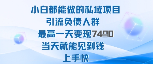 2025年小白都能做的私域项目引流负债人群最高一天变现1k+高变现难度低当天就能见到钱上手快-柚子网创