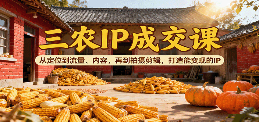 三农IP成交课：从定位到流量、内容，再到拍摄剪辑，打造能变现的IP-柚子网创