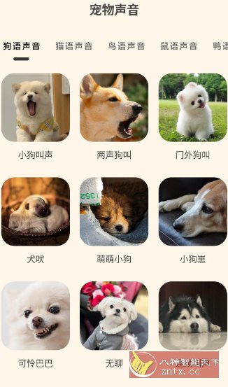 哆啦猫狗翻译器1.2.6高级版-柚子网创