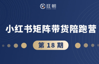 盗坤·抖音小红书视频号短视频带货与直播变现(11-18期)-柚子网创