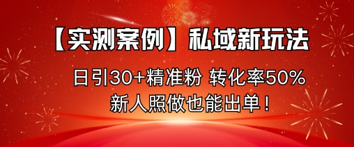 【实测案例】私域新玩法，日引30+精准粉，转化率50%，新人照做也能出单！-柚子网创
