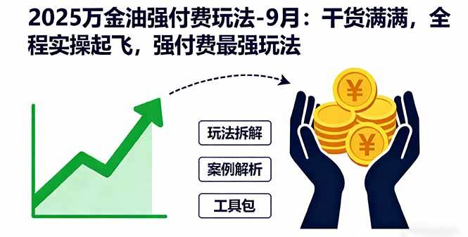 （16202期）2025万金油强付费玩法-9月：干货满满，全程实操起飞，强付费最强玩法-柚子网创
