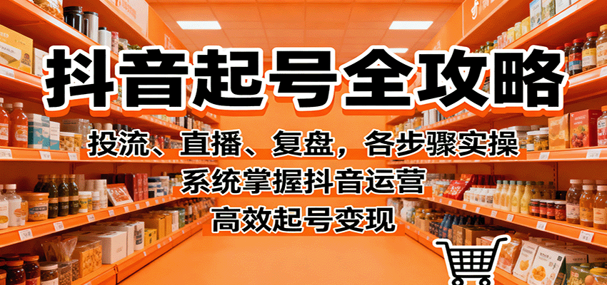 抖音起号全攻略，投流、直播、复盘，各步骤实操，系统掌握抖音运营，高效起号变现-柚子网创